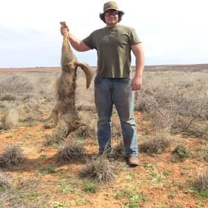 Meet your Posher, Levi